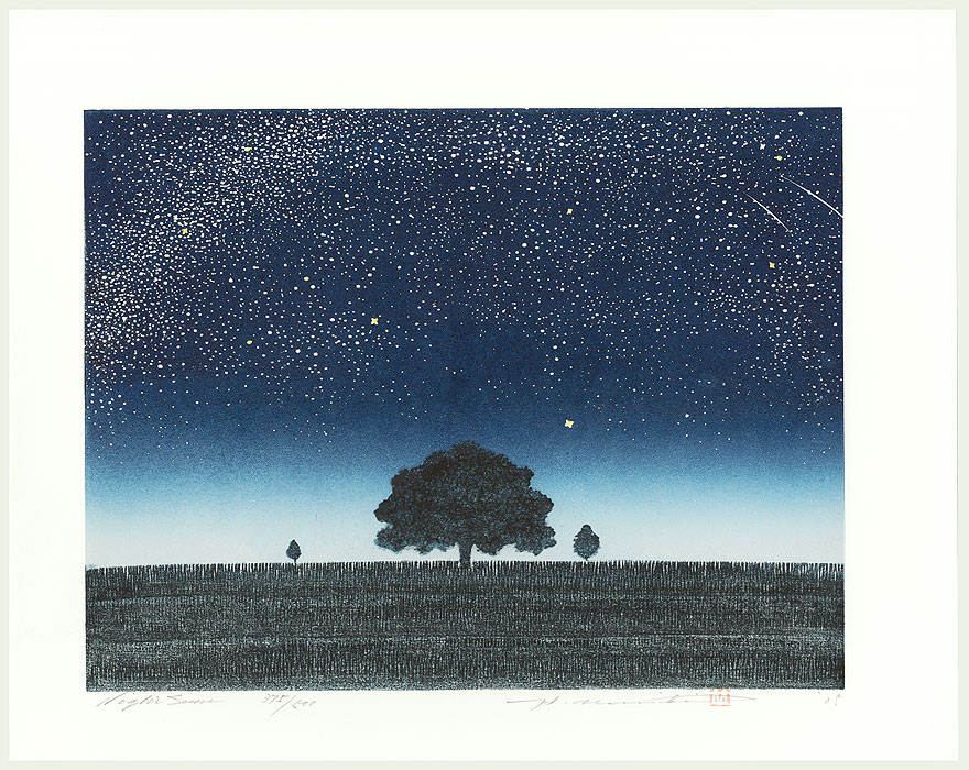 Night of Stars and Comets - Namiki Hajime
